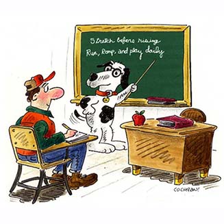 éducateur canin l'Ain